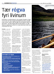 Síða 4