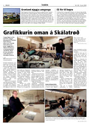 Síða 8
