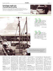 Síða 13