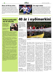 Síða 20