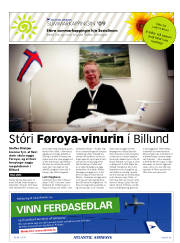 Síða 41
