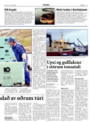 Síða 23
