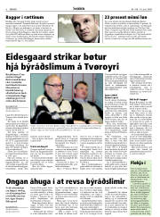 Síða 6