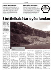 Síða 11