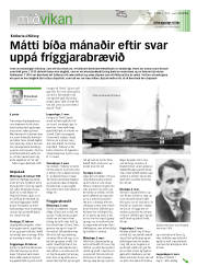 Síða 13