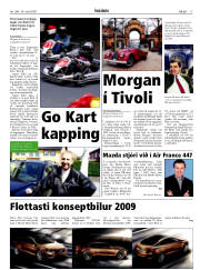 Síða 17