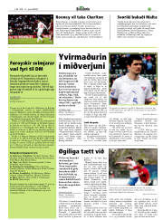 Síða 21