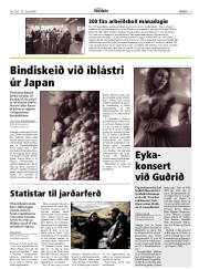 Síða 9