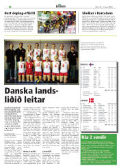 Síða 26