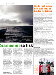 Síða 17