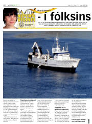 Síða 20