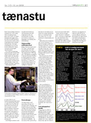 Síða 21