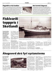 Síða 11