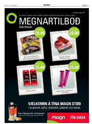 Síða 3
