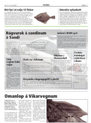 Síða 15