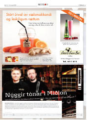 Síða 25