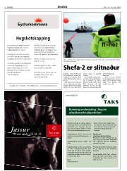 Síða 8