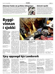 Síða 11