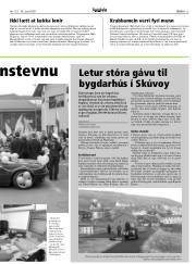 Síða 13