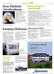 Síða 29