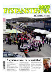 Síða 17