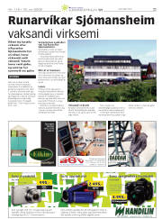 Síða 45