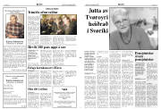 Síða 2