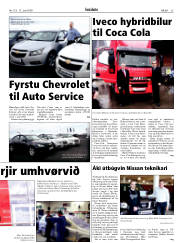 Síða 25