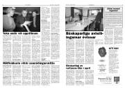 Síða 5