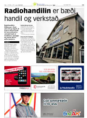 Síða 41