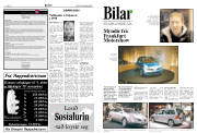 Síða 8