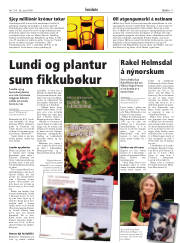 Síða 17