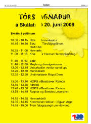 Síða 25