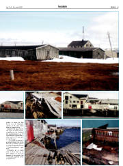Síða 29