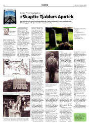 Síða 30