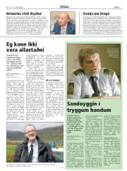 Síða 7