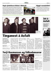 Síða 13