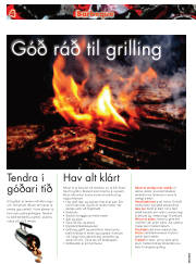 Síða 16