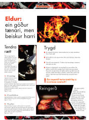 Síða 17