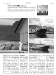 Síða 13