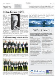 Síða 17