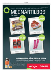 Síða 3
