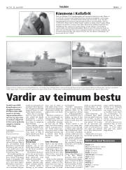 Síða 9