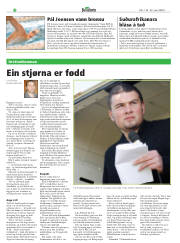 Síða 20