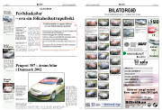 Síða 8