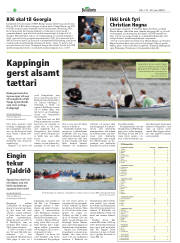 Síða 22