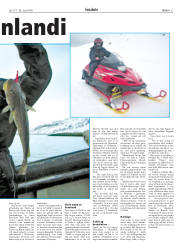 Síða 27