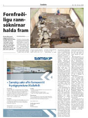 Síða 8