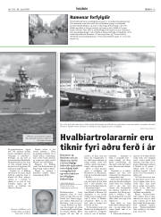 Síða 13
