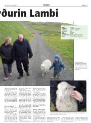 Síða 19